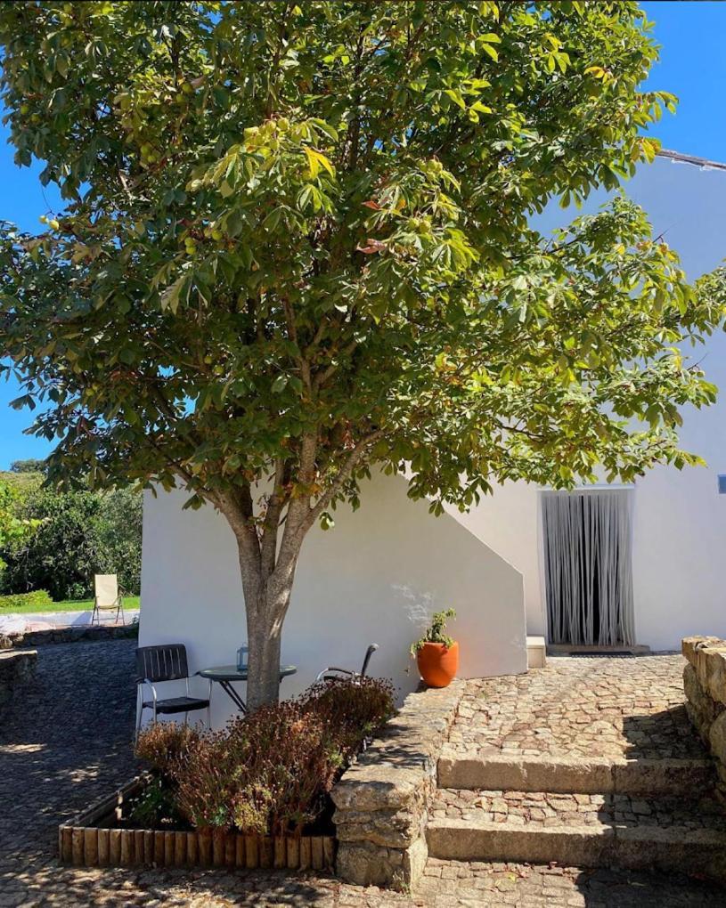 Quinta D'Abegoa Villa Marvao  Bagian luar foto